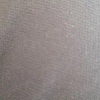 کارگر ساده آقا