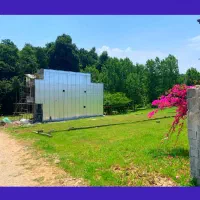 زمین-پلاک-یک-جنگل-فقط-1-200میلیارد-سنددار