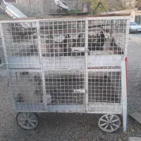 قفس مرغی دو طبقه