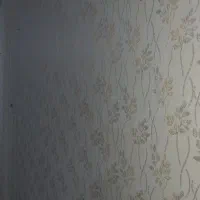 گچ کاری و سفید کاری همراه با نقاشی ساختمان|خدمات پیشه و مهارت|خوی, |دیوار