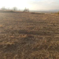 زمین مسکونی۱۰۰۰متر جمال آباد دارای آب برق گاز