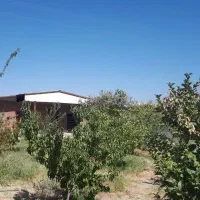 فروش باغ|فروش خانه و ویلا|ماهان, |دیوار