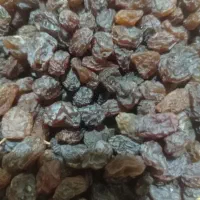 کشمش بیدانه آفتابی تاکستان(آبگیری) پاک شده تمیز