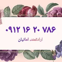 786 20 16 0912