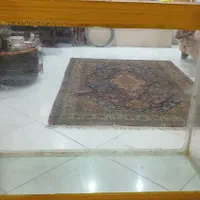آکواریوم وچربیگیر پلنت، گیاه طبیعی پلنت|ماهی|تهران, نیروی هوایی (پیروزی)|دیوار