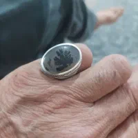 انگشتر شجر سنگ گوشت دار ورکاب دار