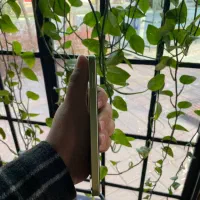 A25- 256gig- ram8 گارانتی فعال|موبایل|مشهد, آزادشهر|دیوار