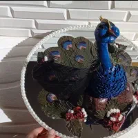 دیس حنا مدل طاووس|صنایع دستی و سایر لوازم تزئینی|بروجن, |دیوار