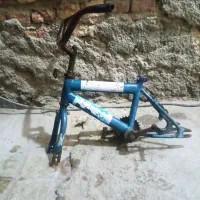 تنه 12لاتانی رنگ فابریک
