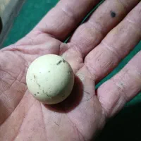فروش سنگ