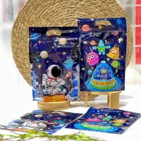 کیف فضانورد و سفینه