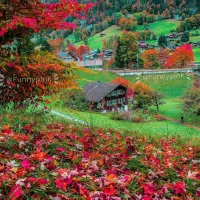 دربستی سه طبقه به علاوه پارکینگ  جهت انبار