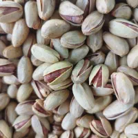 فروش انواع آجیل|خوردنی و آشامیدنی|لنگرود, |دیوار