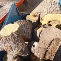 خرید کنده درخت و چوب سقفی|خدمات باغبانی و درختکاری|نیشابور, تریا پارک|دیوار