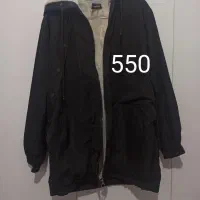 تعدادی پالتو و بارانی زنانه|لباس|دورود, |دیوار