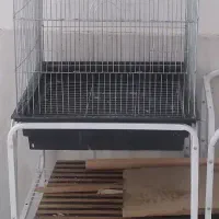 قفس پرنده قناری مرغ عشق گرینچیک