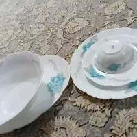 سرویس اروپا 18 نفره