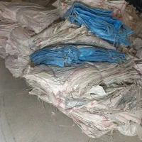 حدود 600تا گونی بذروشمیای همه سالم مخصوص سیب زمینی