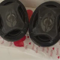 باند‌پایونر‌اصلی‌