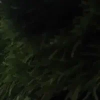 چمن مصنوعی