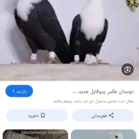 لطف ن آگهی رو بخونید