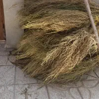 کالای فروشی