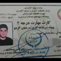 پیوند درختان میوه انگور و گردو