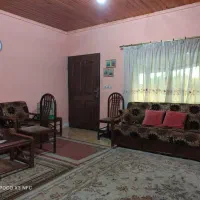 پرده گیپور کتان 4 عدد 130 قد عرض 130 و150 سانتیمت