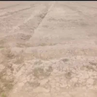 زمین کشاورزی
