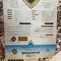 فرش|فرش|رشت, بلوار گیلان|دیوار