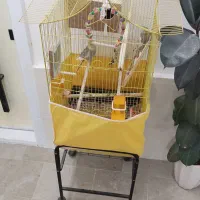 قفس طوطی به همراه لوازم و پایه