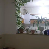 خانه باغ یا ویلا|فروش خانه و ویلا|مرودشت, کوشک|دیوار