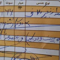 طلای نو|جواهرات|دهدشت, |دیوار