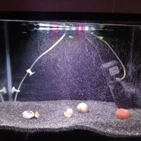 آکواریوم شیشه خم شرکتی