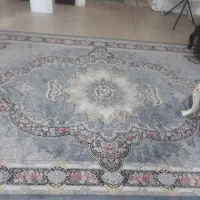 ۲عدد فرش ۶متری