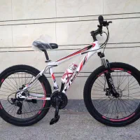 دوچرخه۲۴باقیمت اثتثنایی