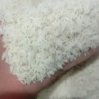 فروش برنج هاشمی مستقیم از کشاورز