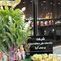 کربلا جهت رفع دلتنگی
