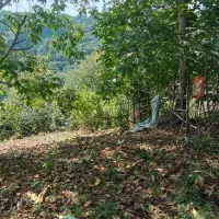 فروش فوری زمین در گیلان