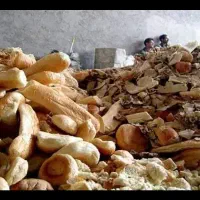 نان خشک ضایعاتی گوسفندی