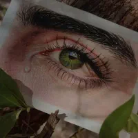 نقاشی چهره|تابلو، نقاشی، عکس|بندرعباس, |دیوار