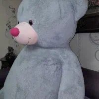 خِرس شاسخین|اسباببازی|رشت, گلسار|دیوار