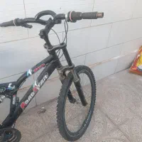 قروش دوچرخه