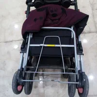 کالسکه و روروئک دلیجان