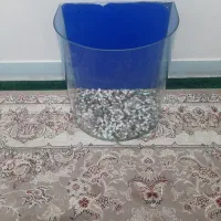 آکواریوم خم پمپ هوا ۲۰ عدد ماهی ماکرو زرد|ماهی|گلستان (تهران), |دیوار