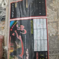 فرش 6 متری نو|فرش|قم, بنیاد|دیوار