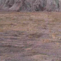 زمین-کشاورزی