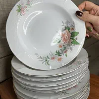 وسایل خانه|ظروف سرو و پذیرایی|رشت, پاستوریزه|دیوار