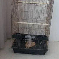 قفس بزرگ