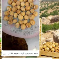 پسته و انجیر و روغن